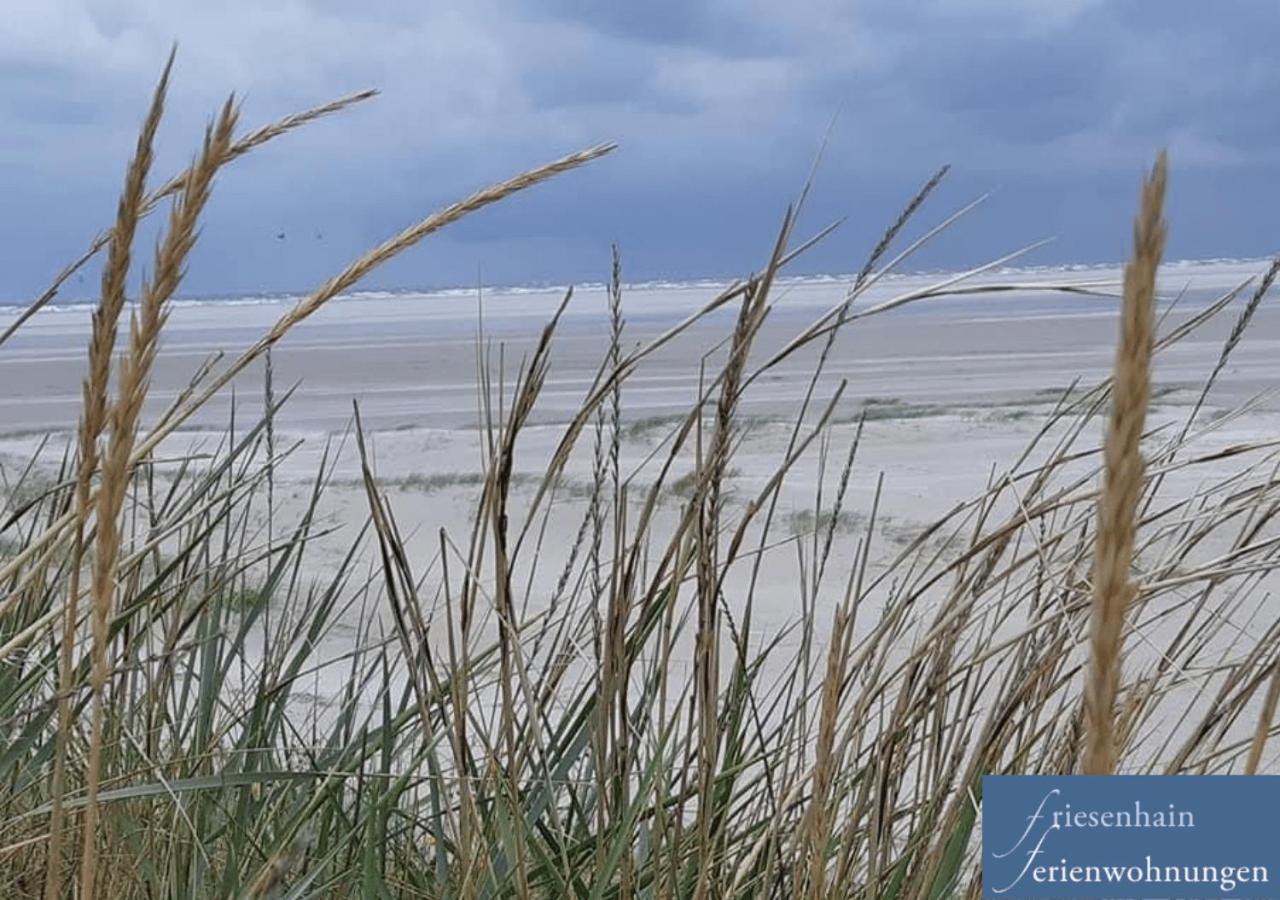 Friesenhain Ferienwohnungen Sankt Peter-Ording Εξωτερικό φωτογραφία