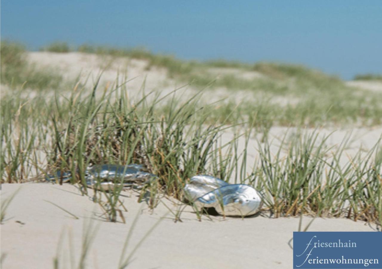 Friesenhain Ferienwohnungen Sankt Peter-Ording Εξωτερικό φωτογραφία